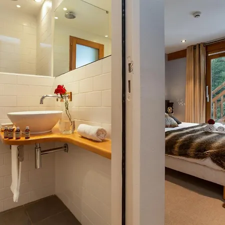 Chalet Maya Apartment Chamonix